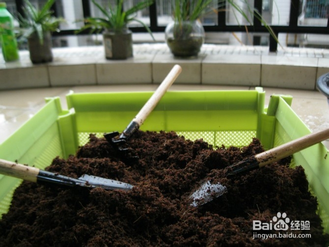 星空app官方网页