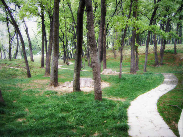 星空app官方网页