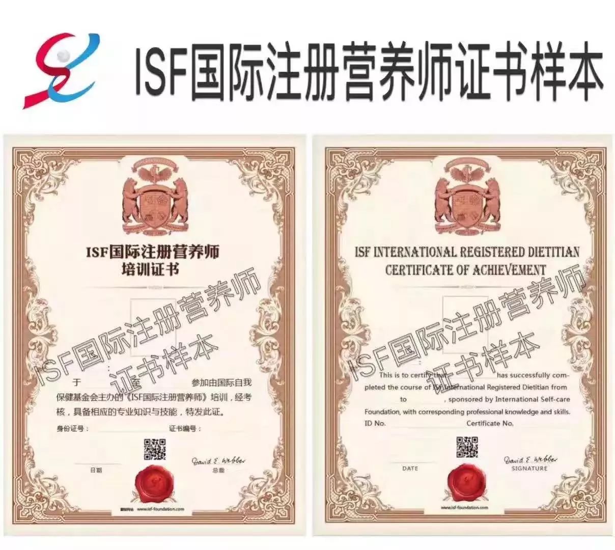 星空app官方网页