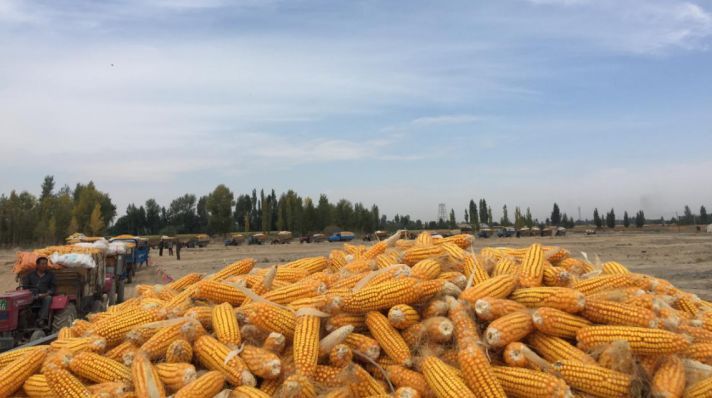 星空app官方网页