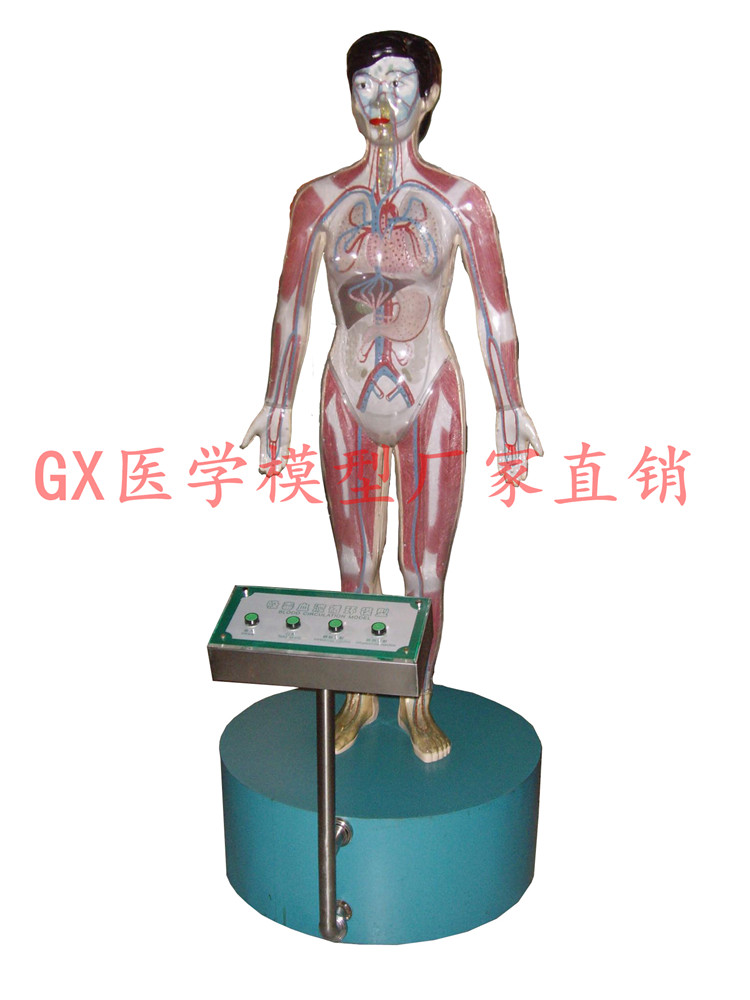 星空app官方网页