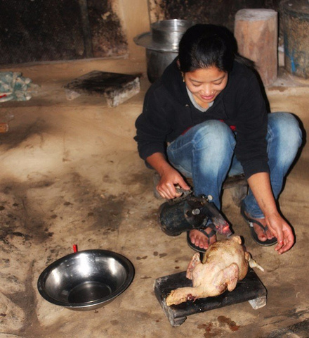 猫奴必备《猫咪斗恶龙》 彩蛋会是最大的狂欢‘星空app官方网页’(图4) 星空app官方网页