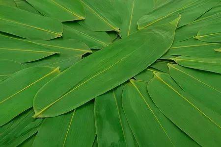 《御天降魔传》宣传视频2公布 场景动捕剧情曝光:星空app官方网页(图1) 星空app官网