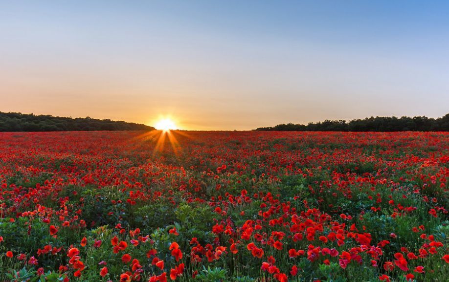 星空官方网站|一起固定价格施工合同纠纷引起的思考(图3) 星空app官方网页