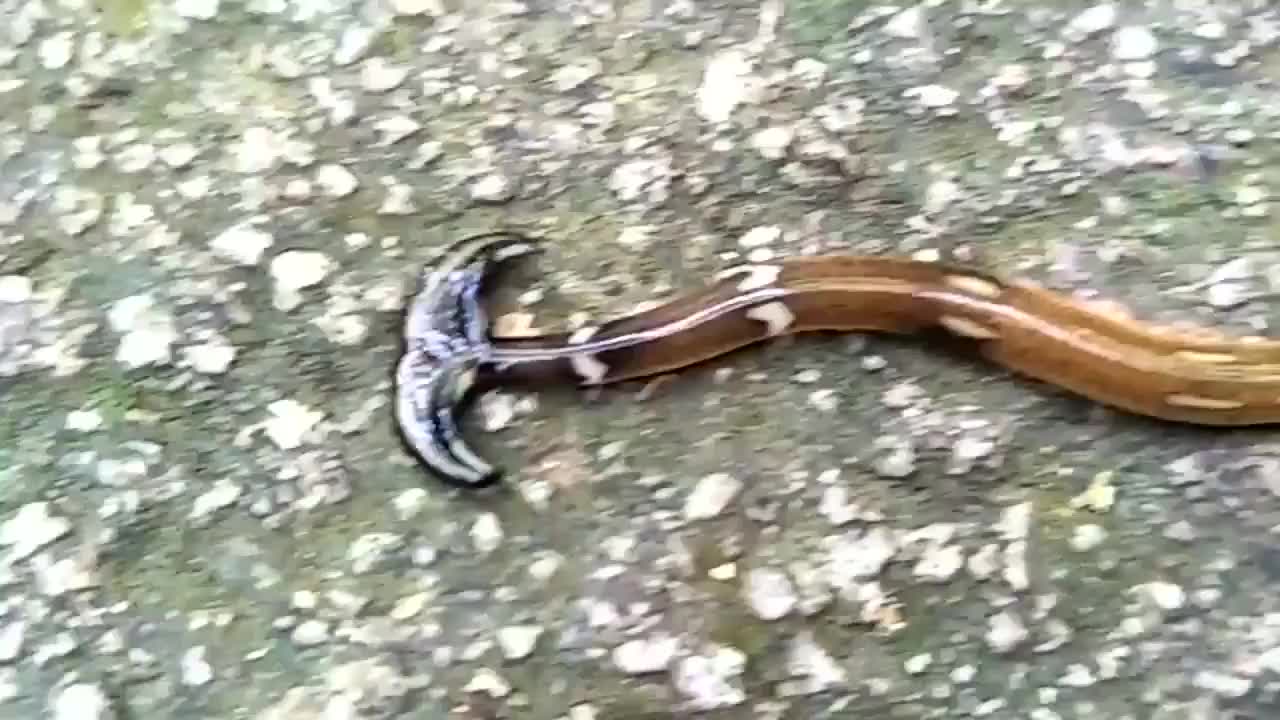 星空app官网_21名农民工组团锤杀4人伪造矿难骗赔百万(图3) 星空app官方网页