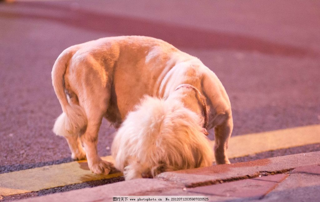 联合国:利比亚全国过渡委员会面临四大挑战‘星空app官网’(图1) 星空官方网站