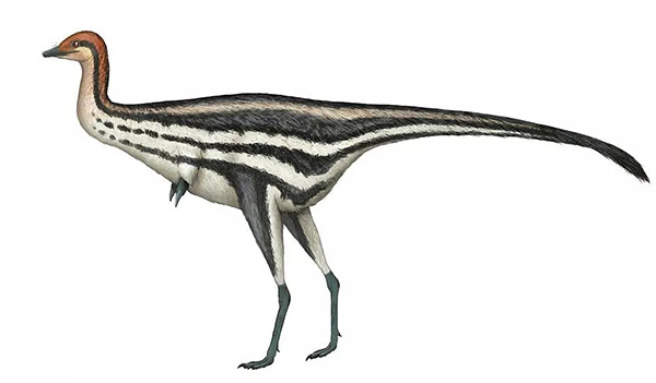 庆祝新中国成立70周年国庆档 以精品力作演绎奋斗史诗|星空app官方网页(图1) 星空app官网