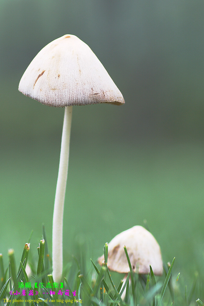 星空官方网站:联合国毒品和犯罪问题办公室成立二十周年:有信心和决心让世界更安全(图4) 星空app官网