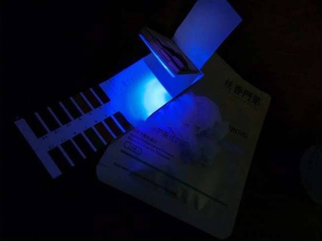 植物大战僵尸花园战争PC版或将明年正式发布“星空官方网站”(图1) 星空app官方网页