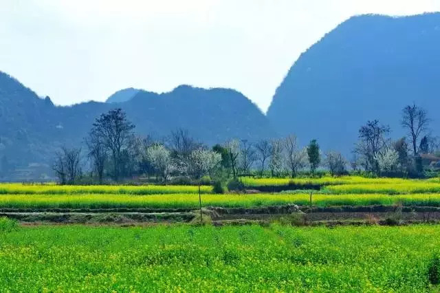 “星空官方网站”
男子购置的车位太低 多次找开发商都避而不见 媒体帮助十分钟解决(图2) 星空官方网站