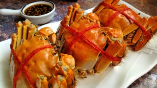 星空app官方网页