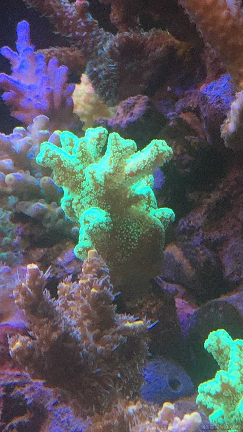 巴士晨间快讯 《空之轨迹3rd-进化》中文版发售日确定:星空官方网站(图3) 星空app官网