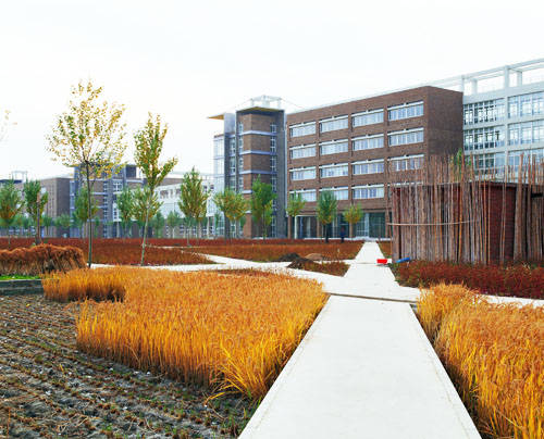 星空app官方网页-
21年长春工业大学函授专业(要求)(图4)