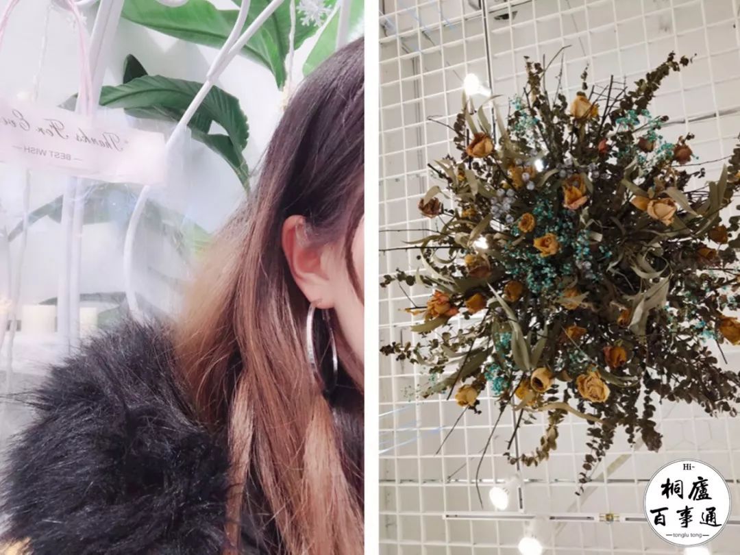 星空app官方网页