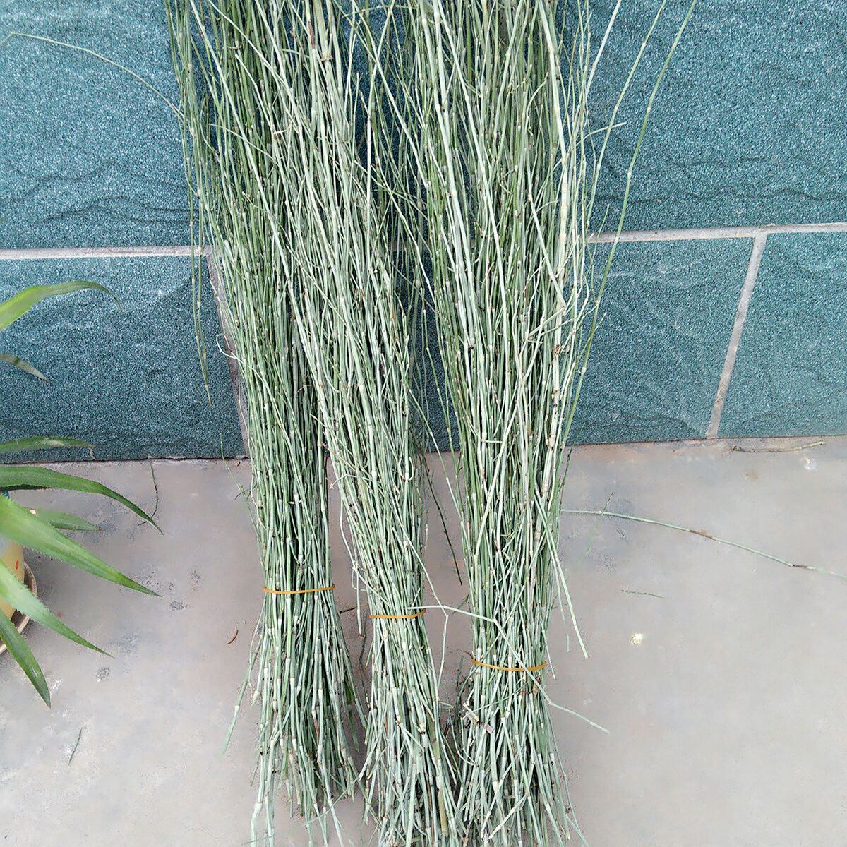 星空app官方网页