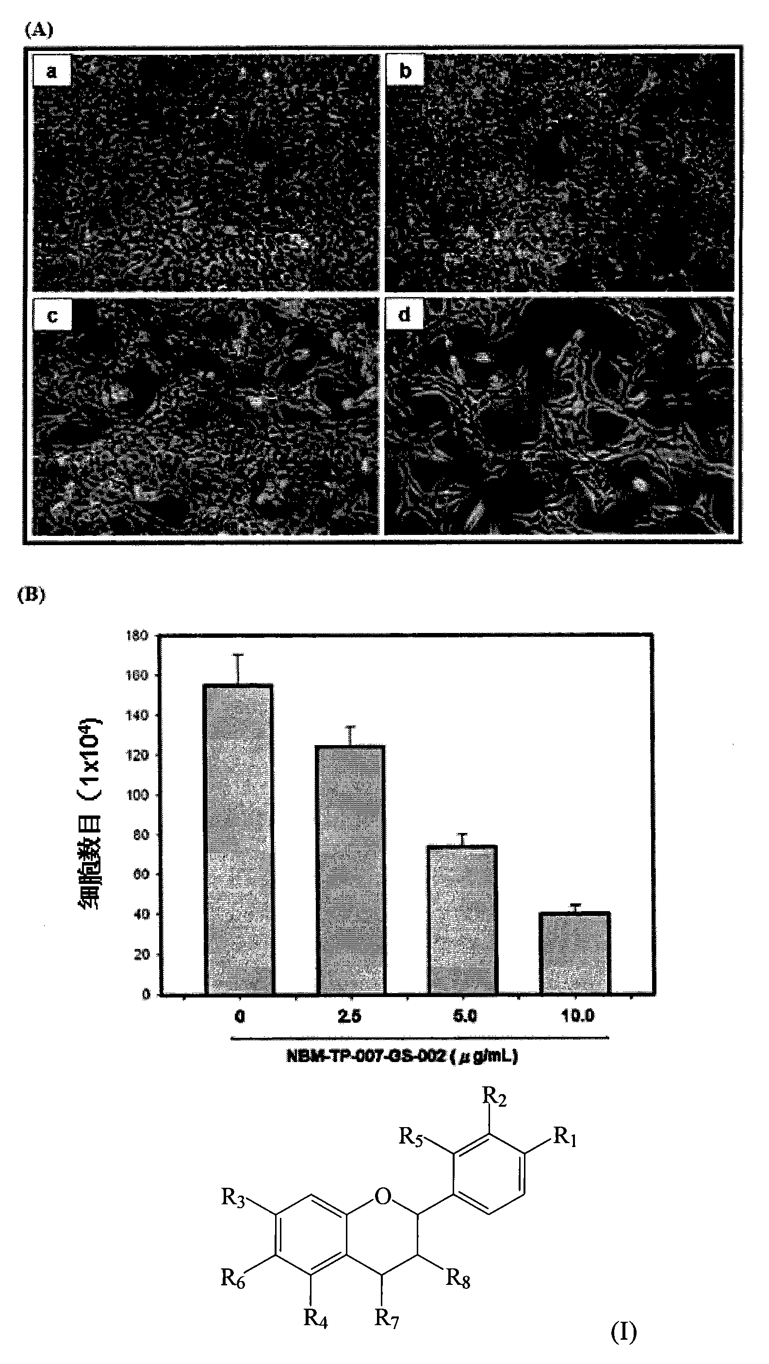 创文创卫在行动︱“垃圾分类·青春助力” 我市启动垃圾分类“八个一”行动:星空官方网站(图1) 星空官方网站