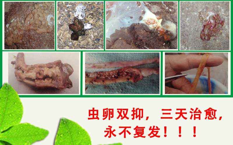 星空app官方网页