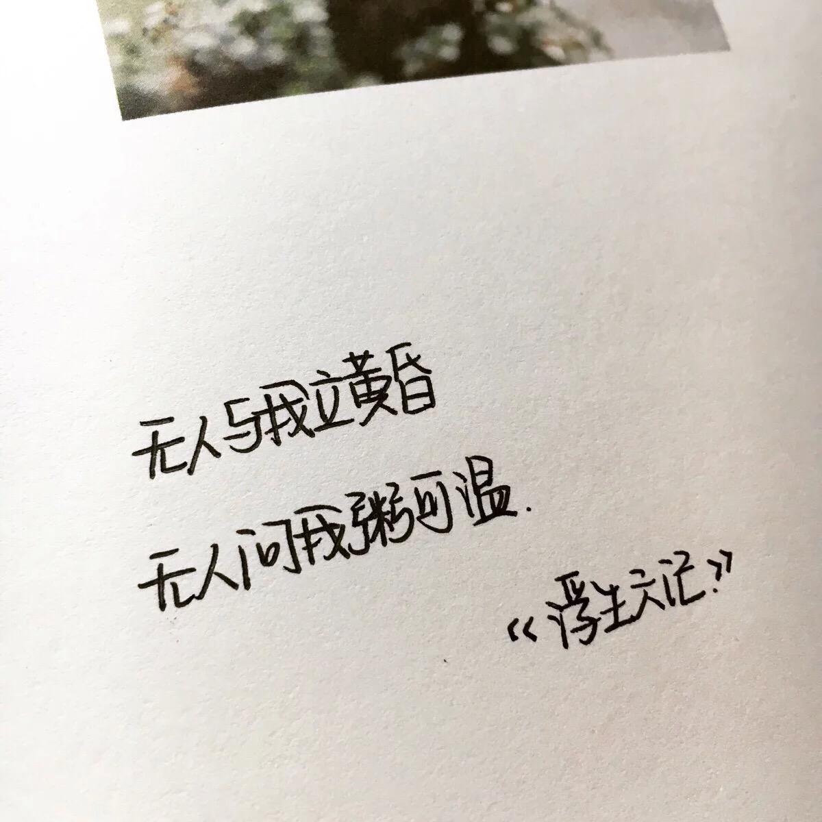 星空app官方网页