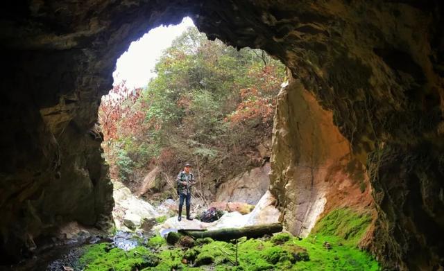 “星空app官网”耗资9000万美元 Twitch获守望先锋联赛独家直播权(图1) 星空app官方网页