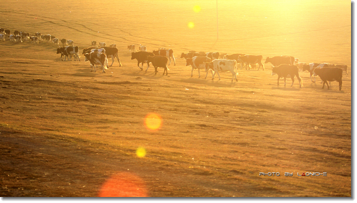 星空app官方网页:
新!2021年国家公务员考试报考指南 不清楚速点(图2) 星空app官方网页