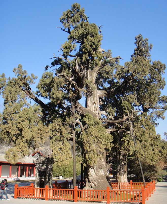 乘客顺走别人骨灰袋 捡东西不还是否违法?:星空官方网站(图1) 星空app官网