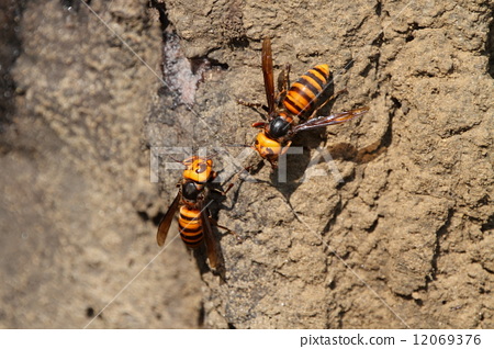 星空app官方网页