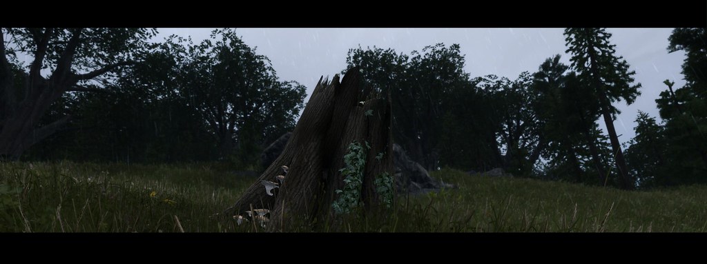 星空app官方网页