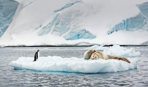 ‘星空app官方网页’调查显示Ooyala推动视频浏览和收入增长(图3) 星空app官网