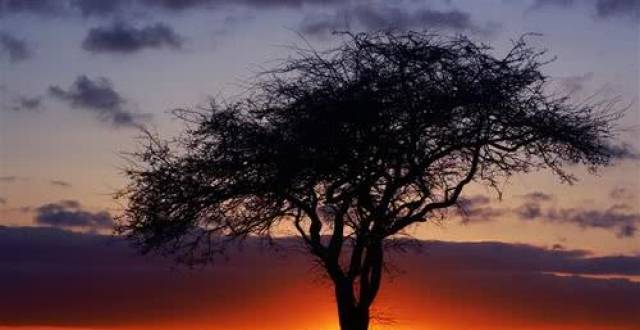 星空app官方网页