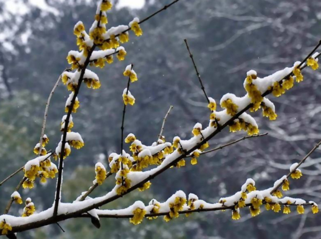 星空app官方网页_国际刑事法院确认对刚果(金)前副总统本巴的指控成立(图3) 星空app官方网页