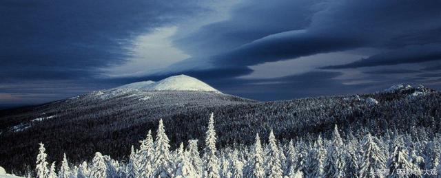 黑龙江省第七届律师代表大会第二次会议胜利召开-星空官方网站(图1) 星空app官方网页