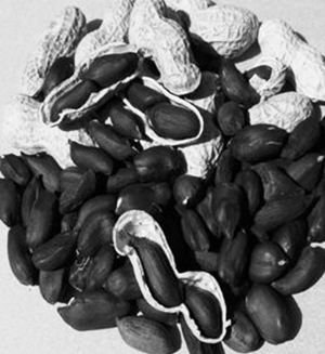 星空app官方网页