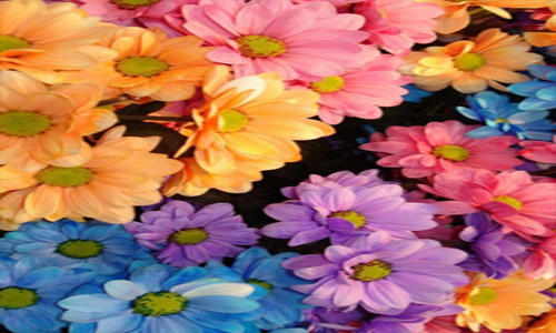 星空app官方网页