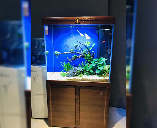 星空app官方网页