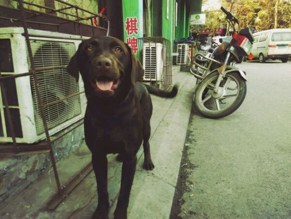 星空app官方网页