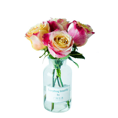 星空app官方网页