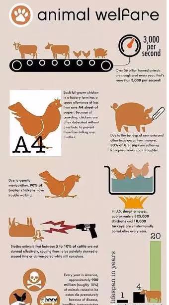 星空app官方网页