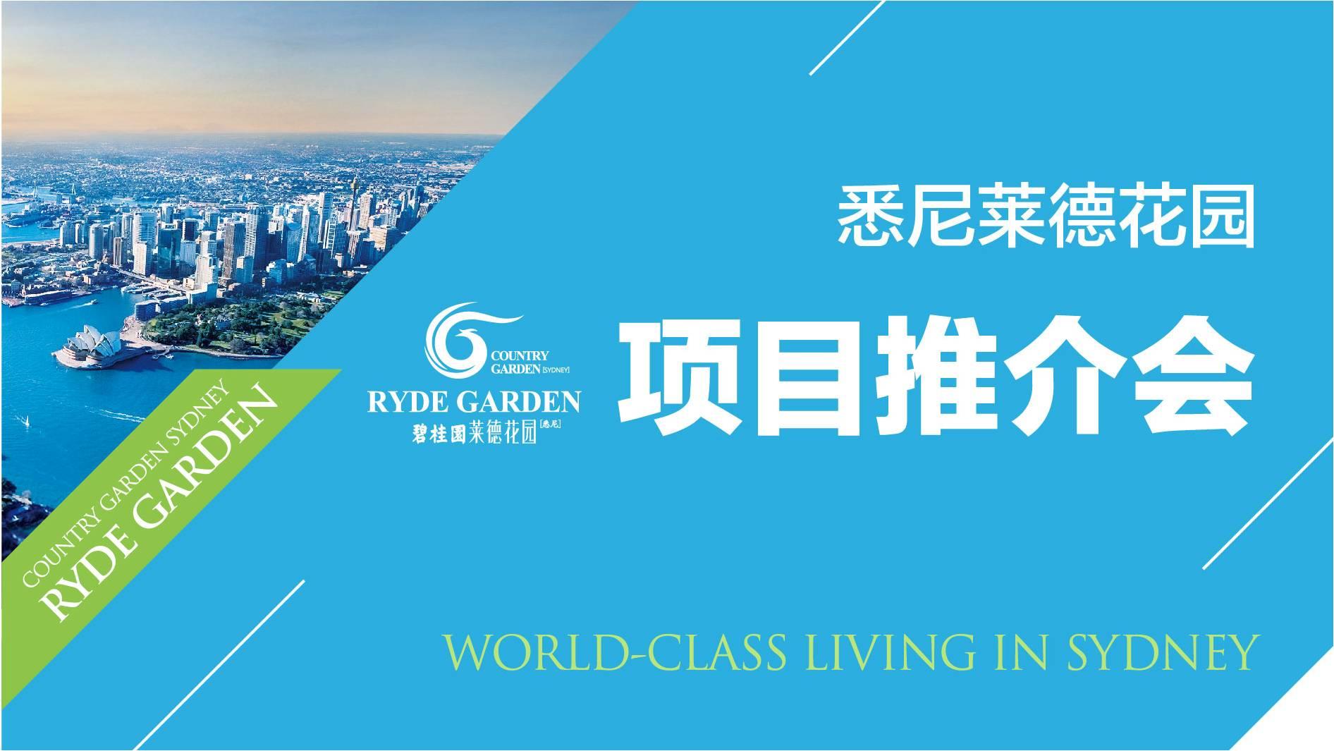星空官方网站