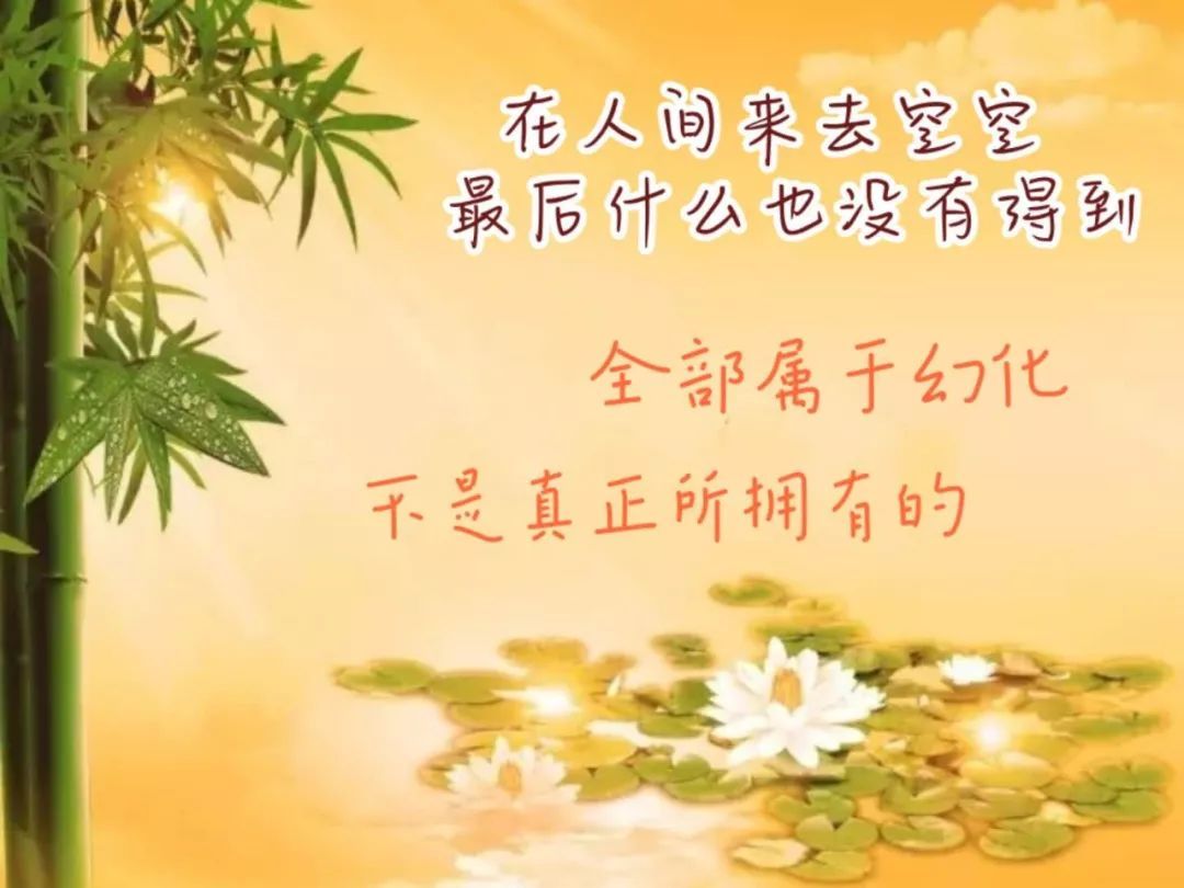 星空官方网站